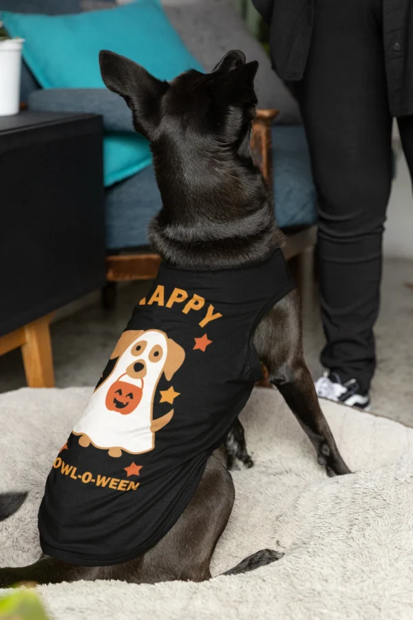 Dog wearing Halloween shirt on dog bed.